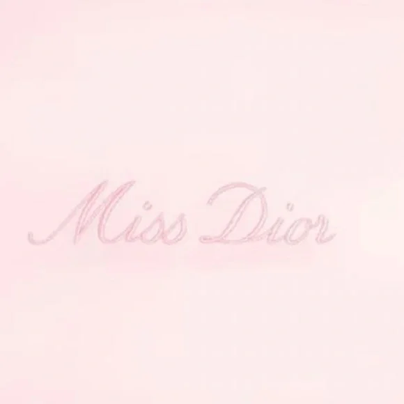 DIOR Bag Pink Miss Dior Large Mesh Pouch NEW with BOX - Picture 3 of 5